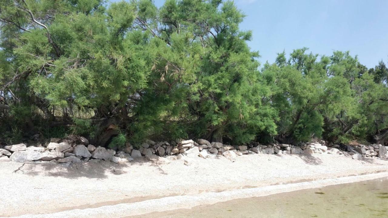 Apartmani Neva, Pridraga Kültér fotó